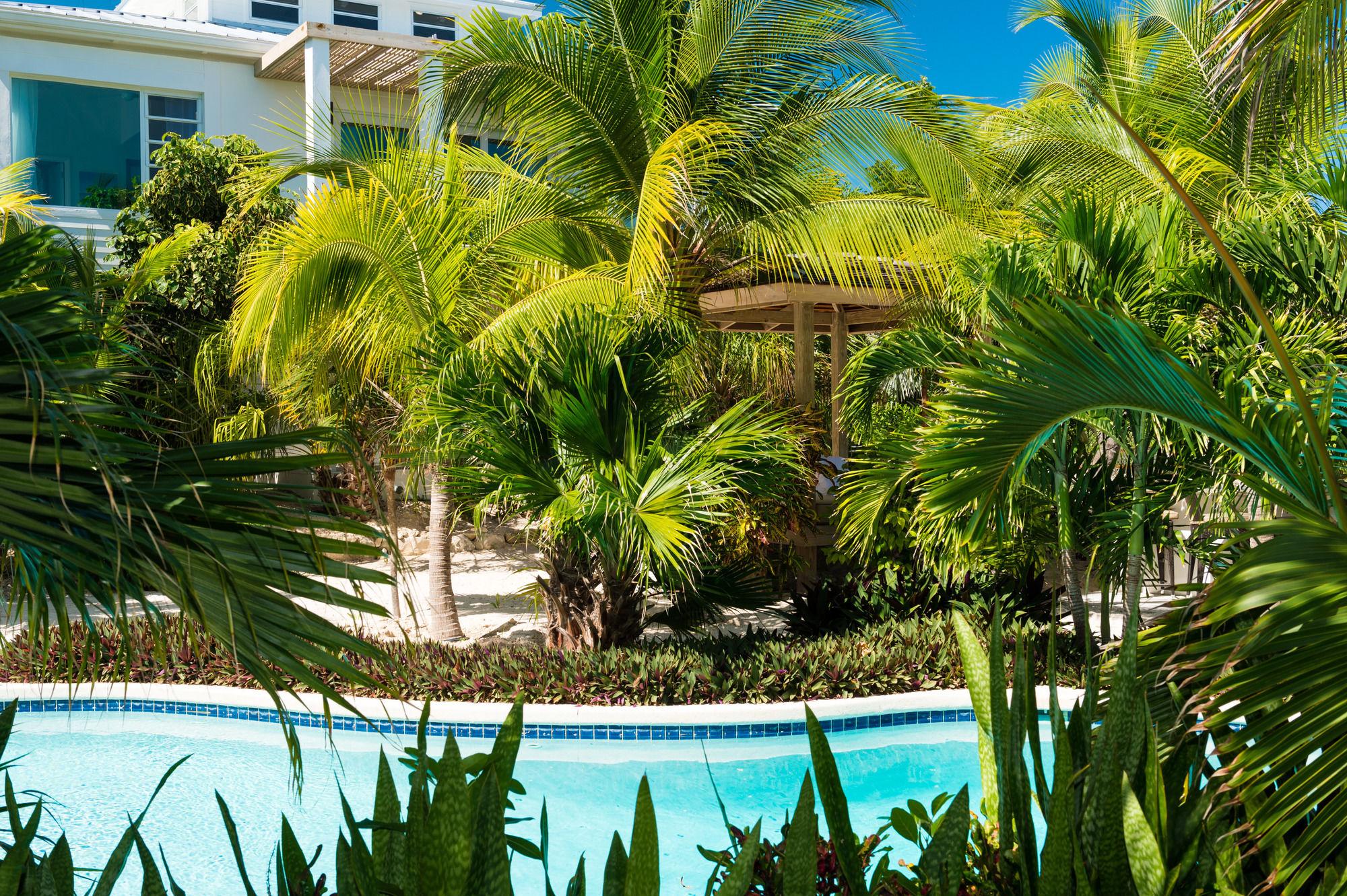 The Oasis At Grace Bay Hotel Exterior photo